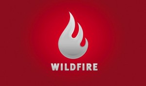 Google neemt Wildfire over