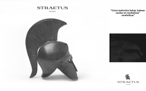 optimalisatie straetus